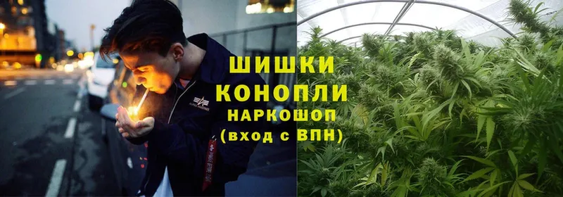 наркотики  ОМГ ОМГ сайт  Бошки марихуана SATIVA & INDICA  Новоалтайск 